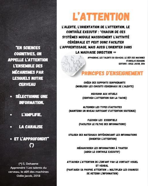Présentation du pilier L'attention et les principes d'enseignement
